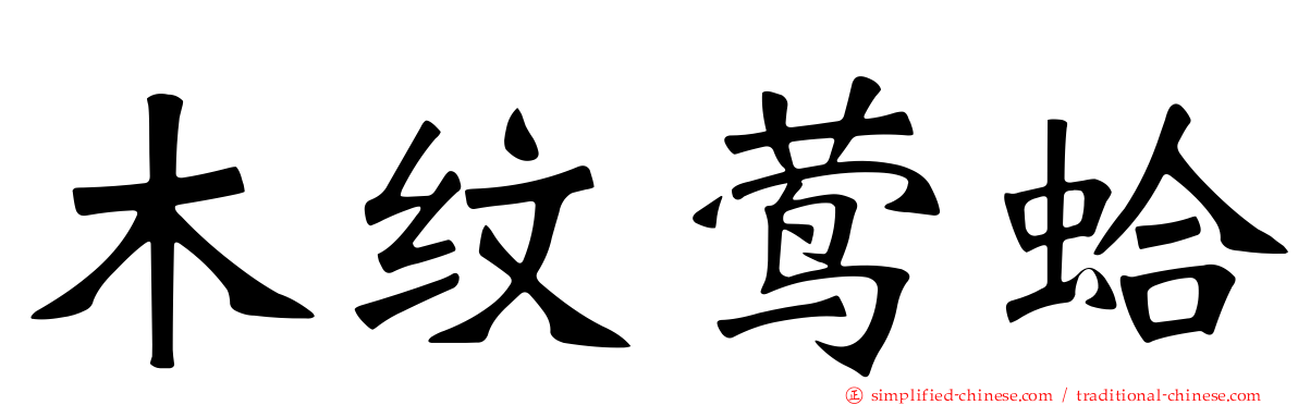 木纹莺蛤