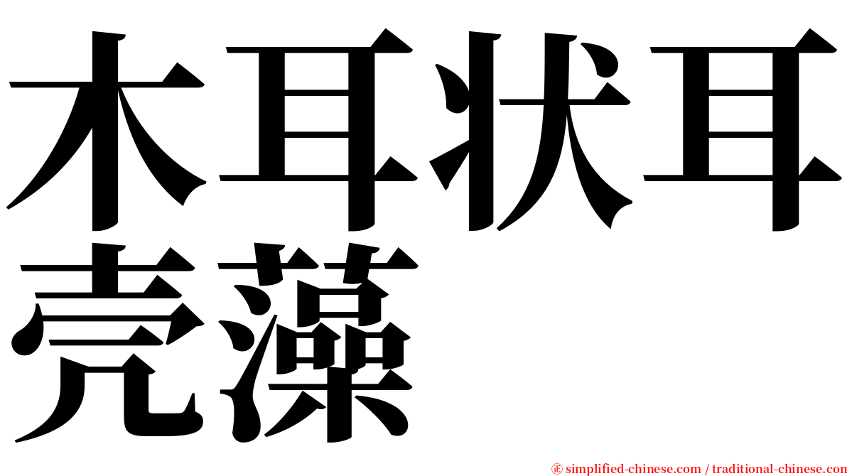 木耳状耳壳藻 serif font