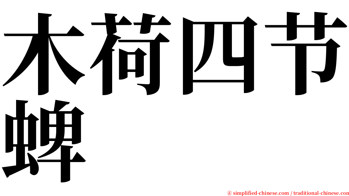 木荷四节蜱 serif font