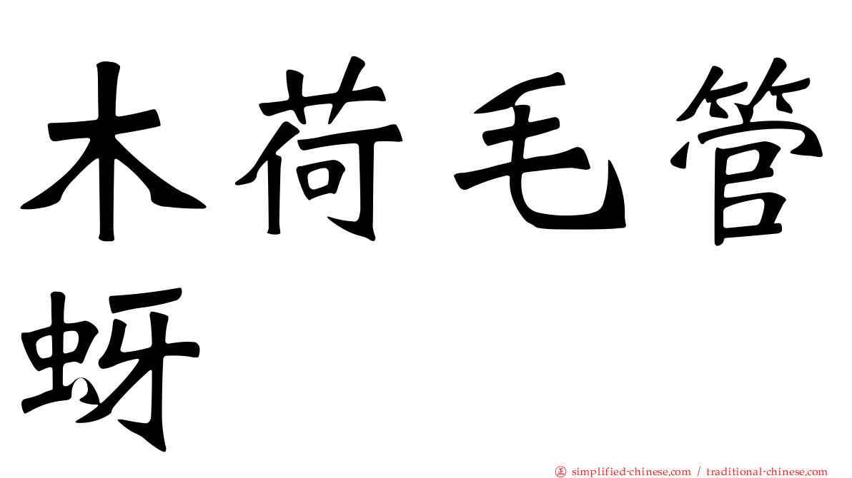 木荷毛管蚜