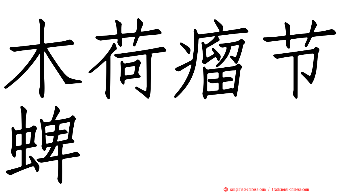 木荷瘤节蜱