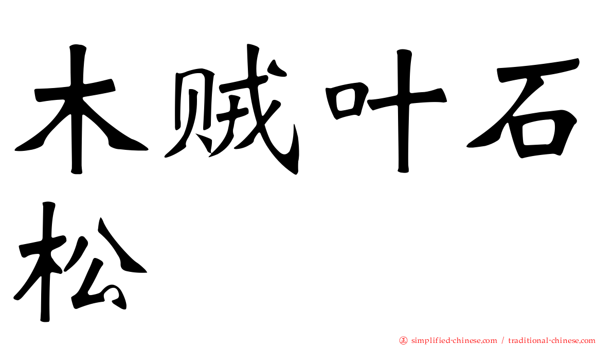 木贼叶石松