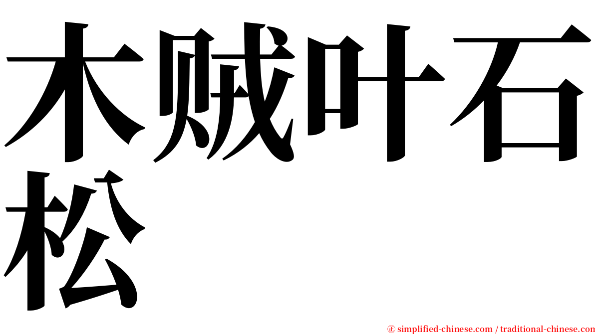 木贼叶石松 serif font