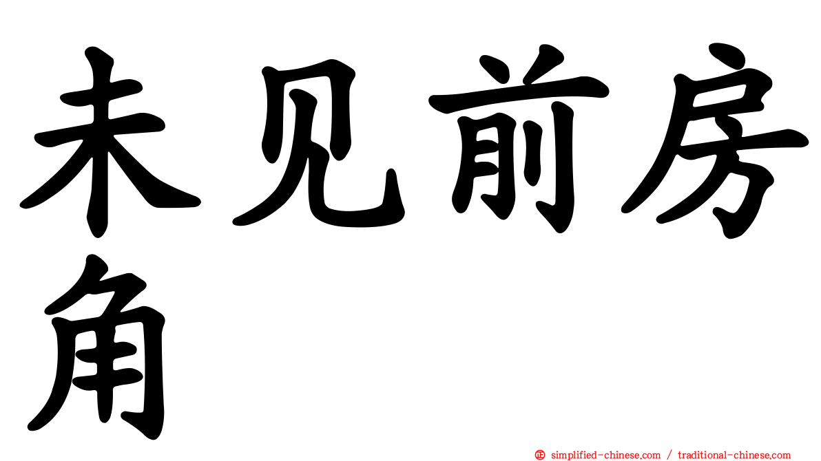 未见前房角