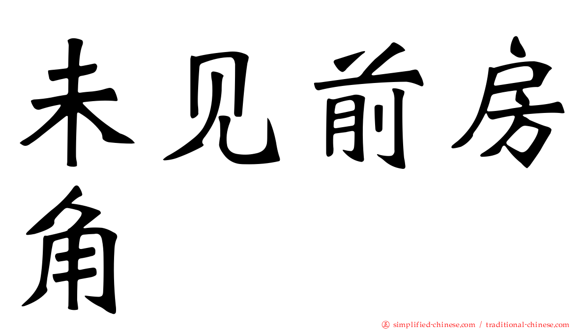 未见前房角