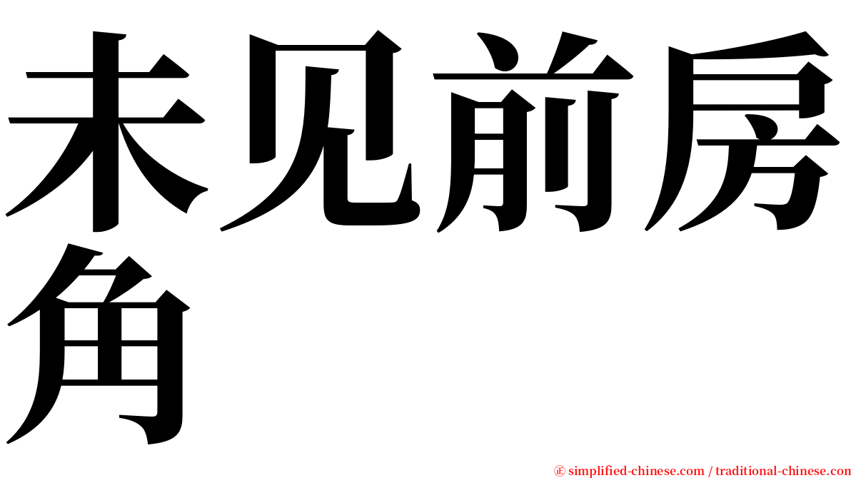 未见前房角 serif font