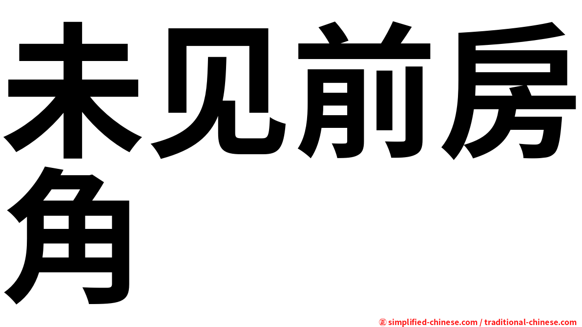 未见前房角