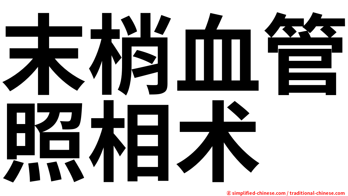 末梢血管照相术