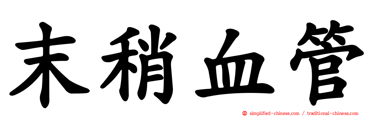 末稍血管