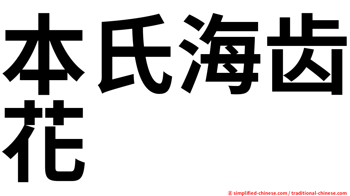 本氏海齿花