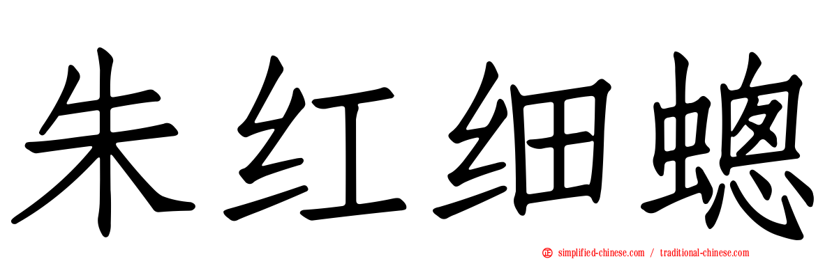 朱红细蟌