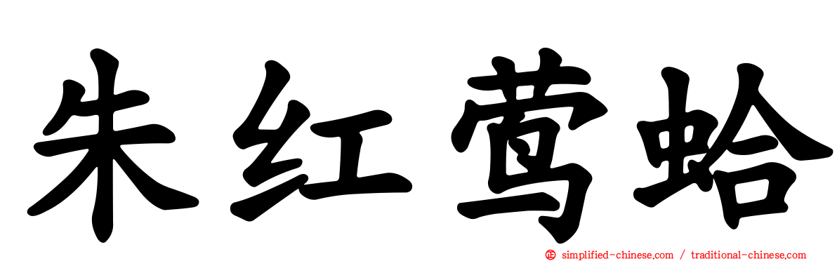 朱红莺蛤