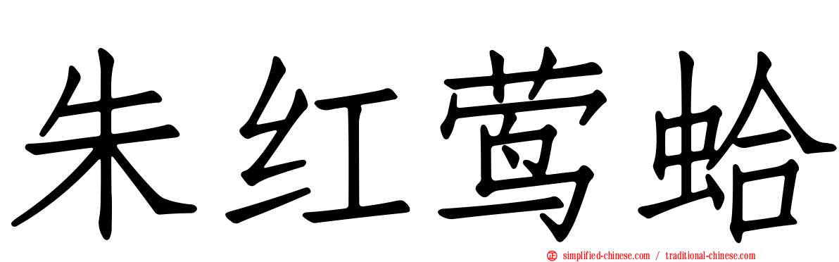 朱红莺蛤