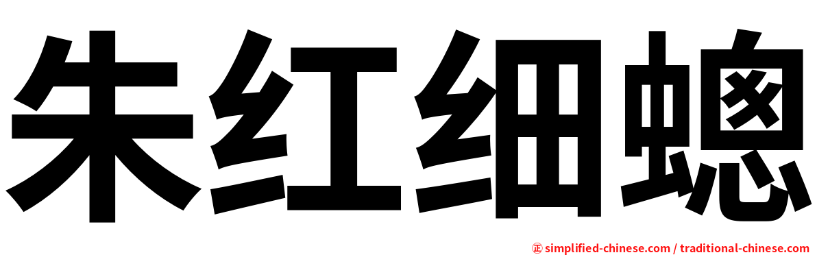 朱红细蟌