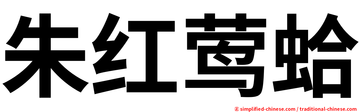 朱红莺蛤