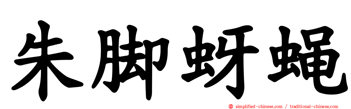 朱脚蚜蝇