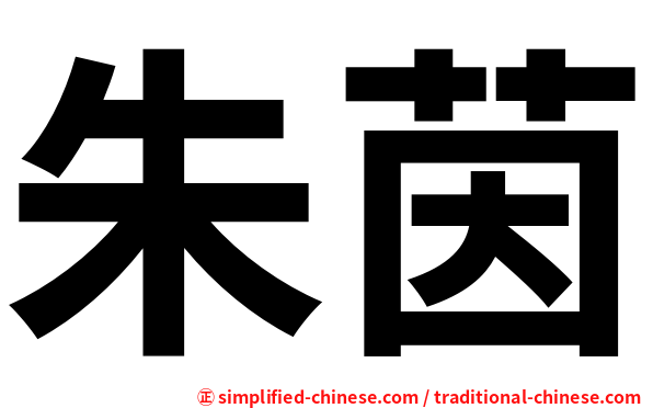 朱茵