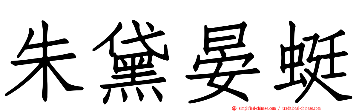 朱黛晏蜓