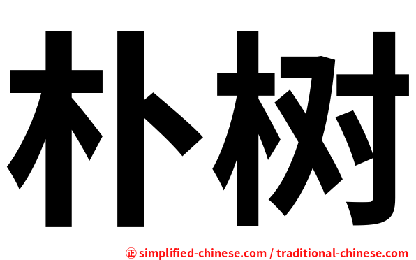 朴树
