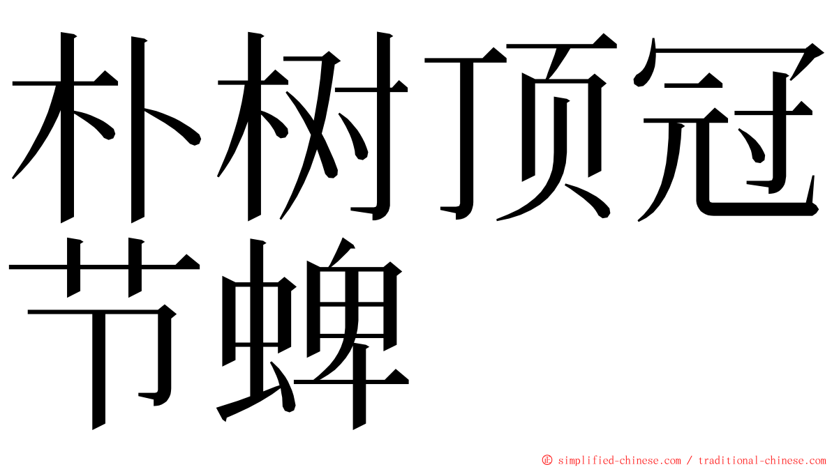 朴树顶冠节蜱 ming font