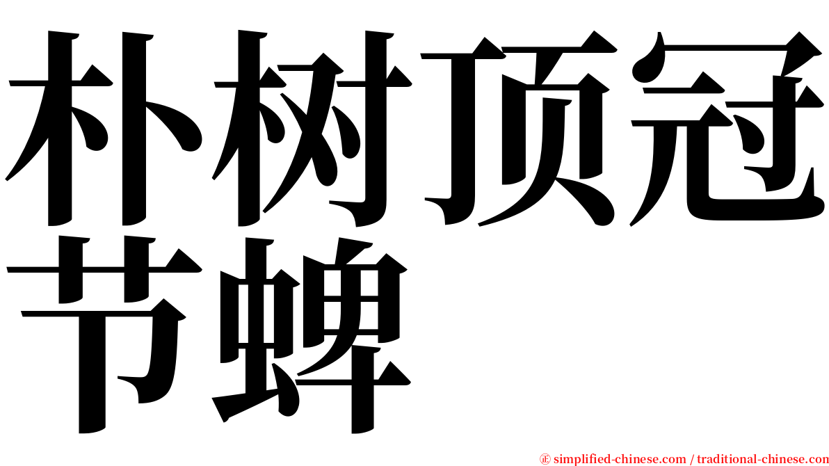 朴树顶冠节蜱 serif font
