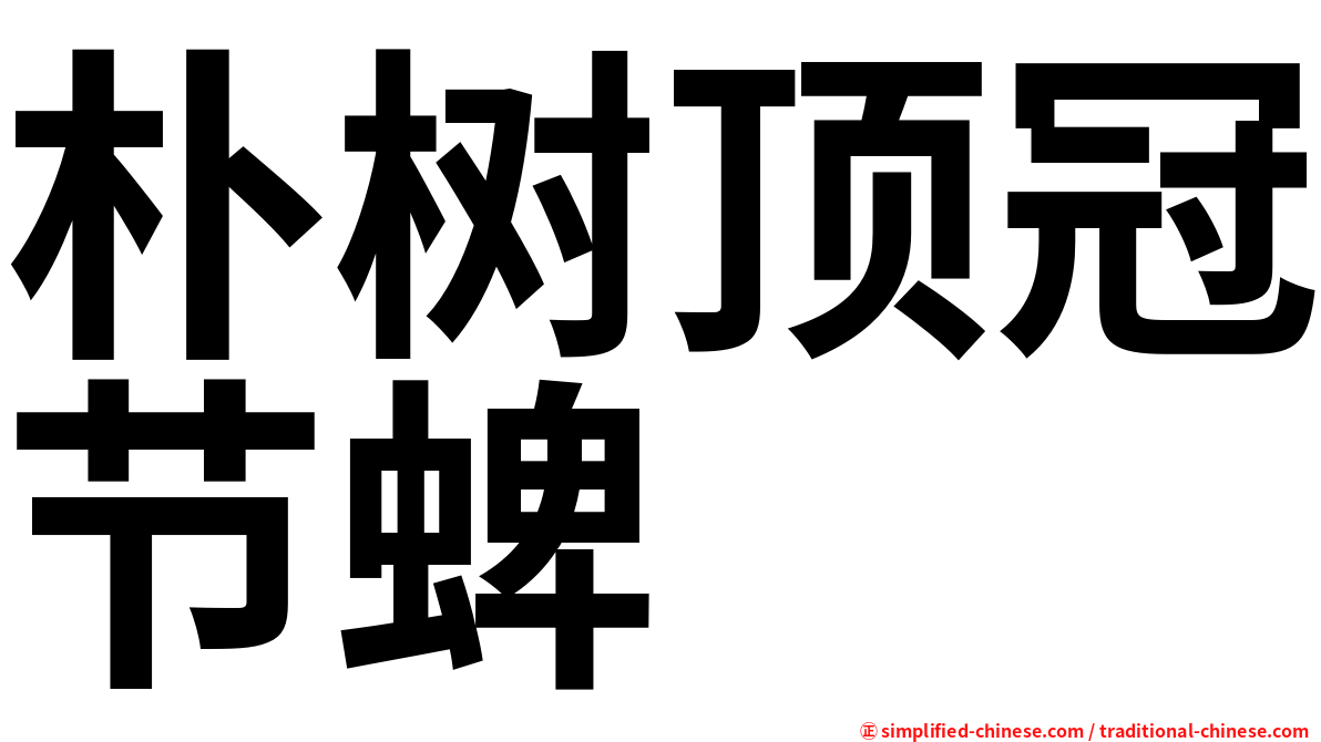 朴树顶冠节蜱
