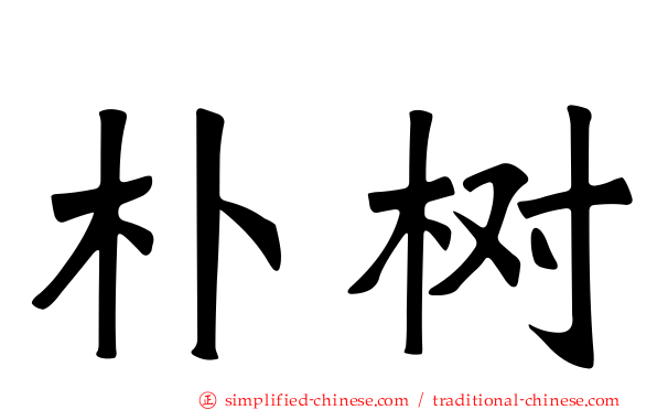 朴树