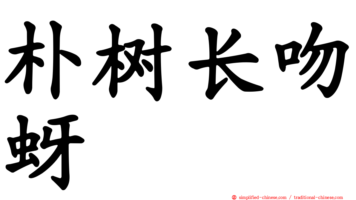 朴树长吻蚜