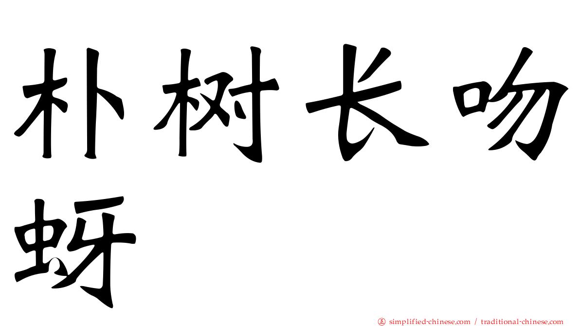 朴树长吻蚜