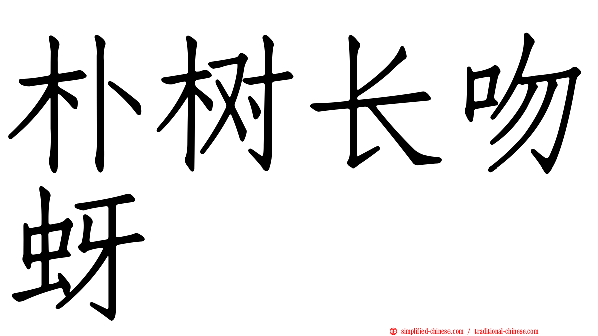 朴树长吻蚜
