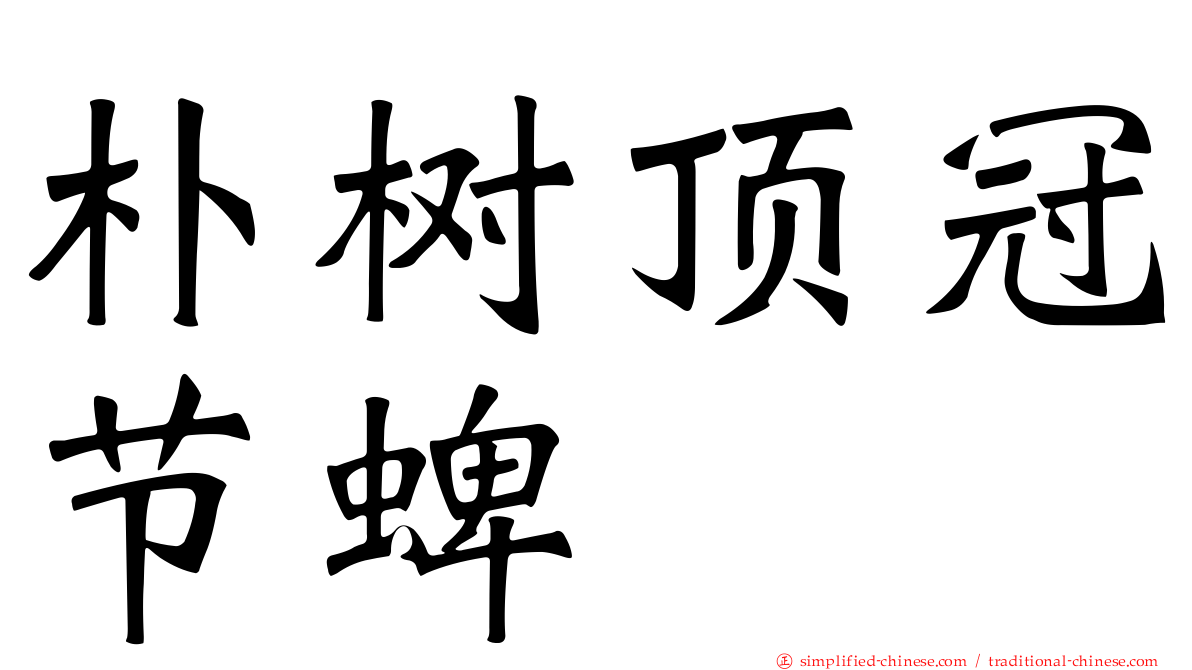 朴树顶冠节蜱