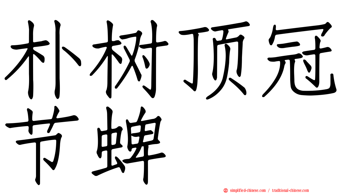 朴树顶冠节蜱