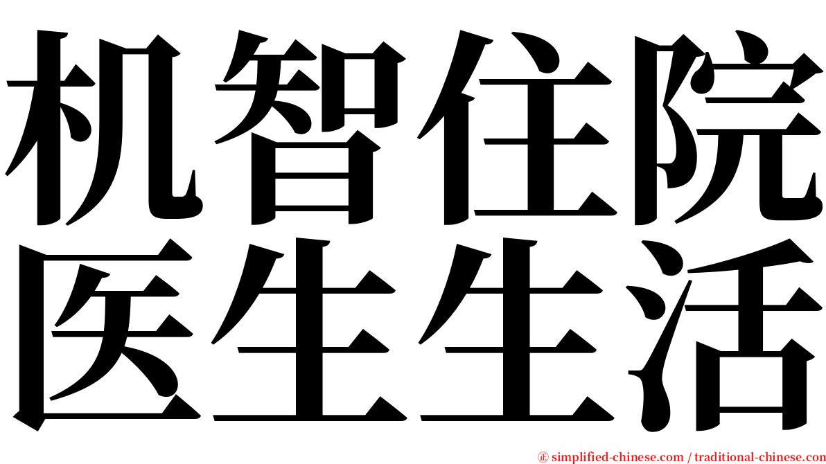 机智住院医生生活 serif font