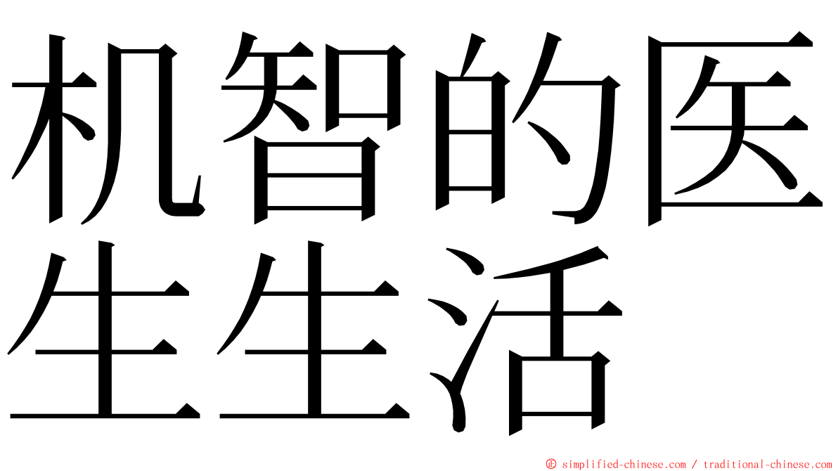 机智的医生生活 ming font