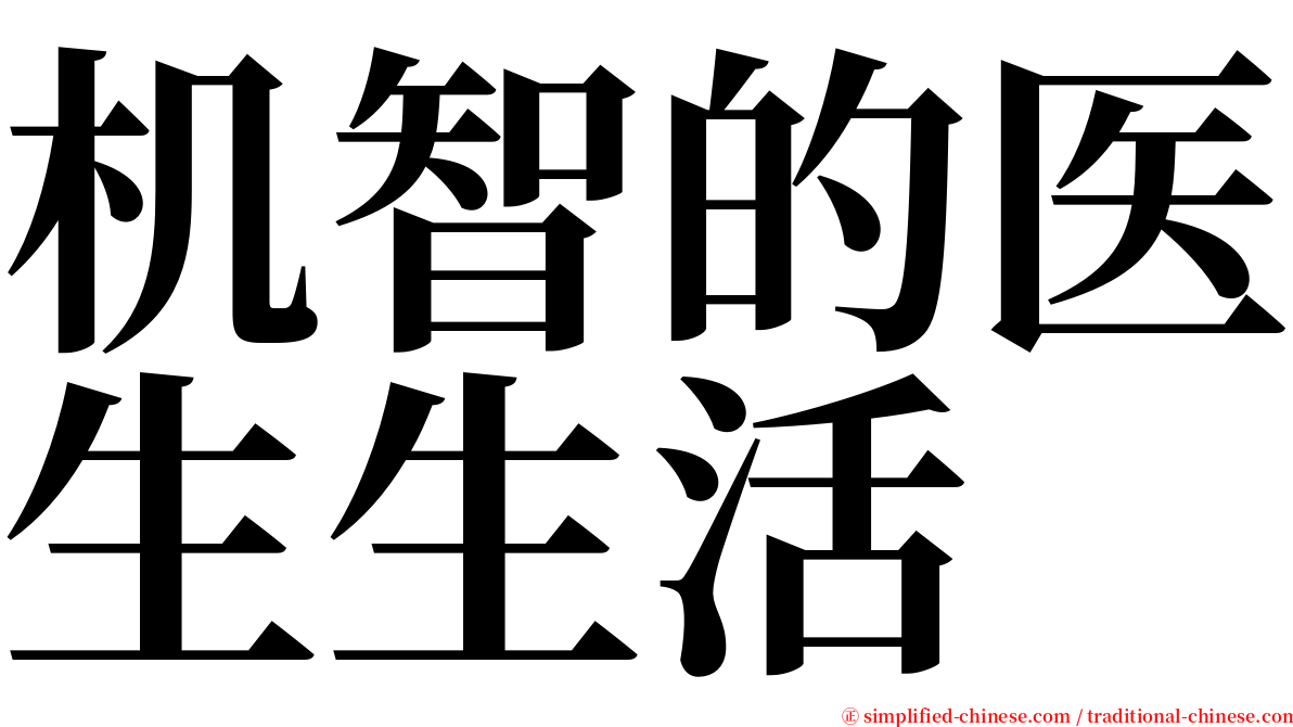 机智的医生生活 serif font