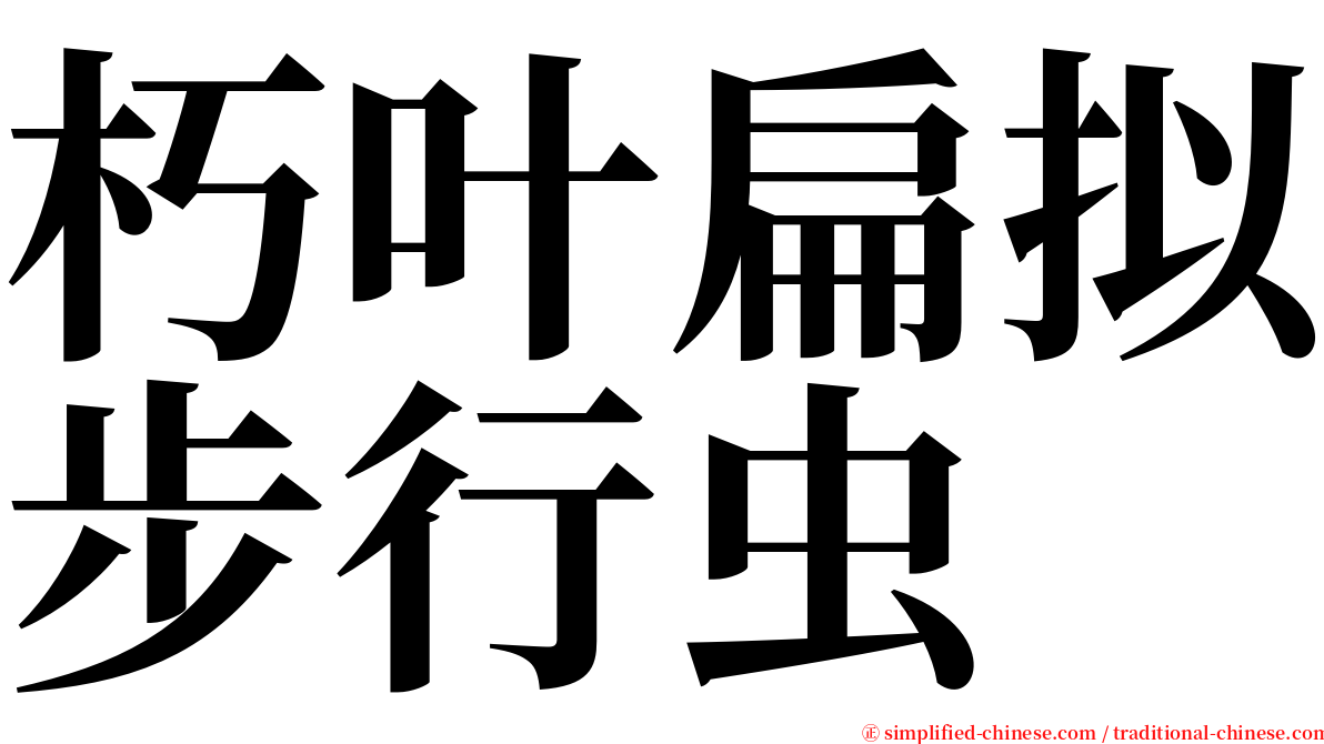 朽叶扁拟步行虫 serif font