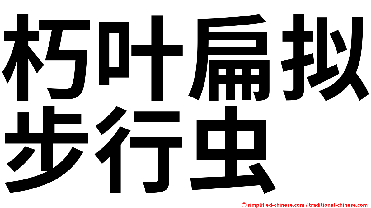 朽叶扁拟步行虫