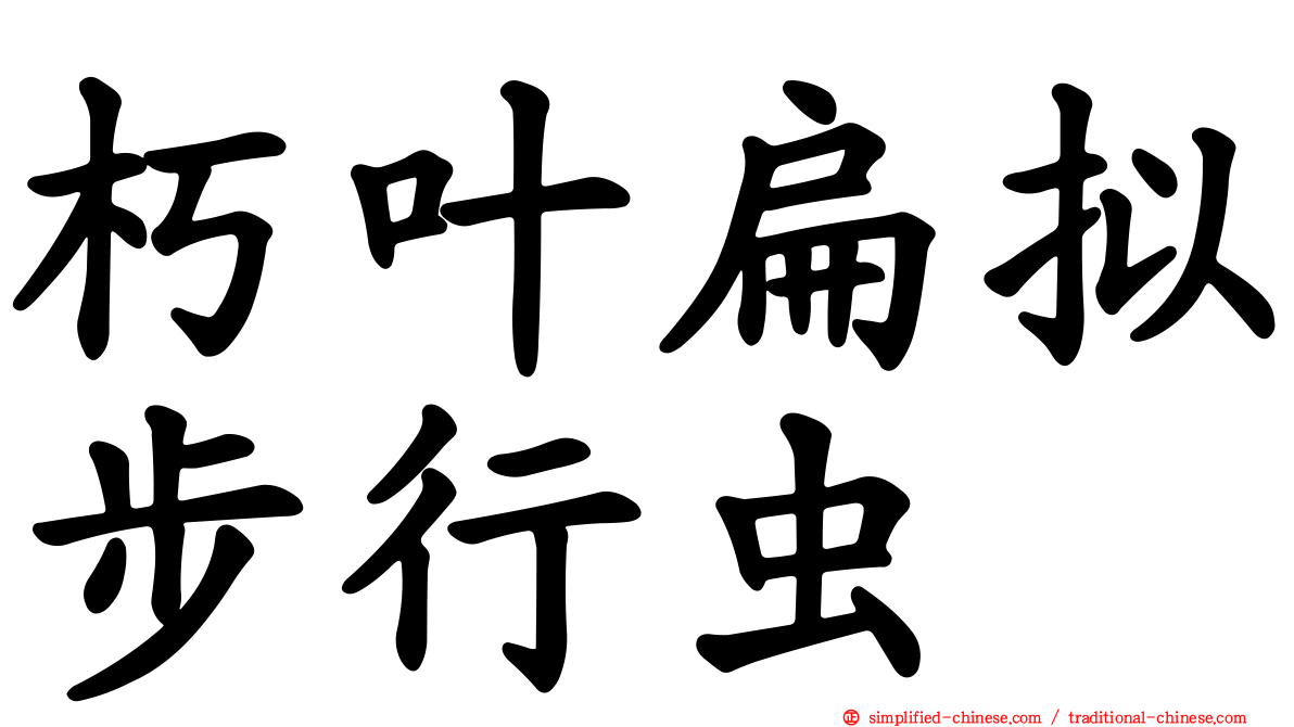 朽叶扁拟步行虫