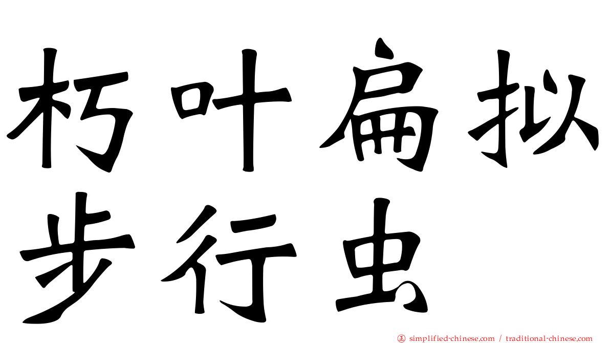 朽叶扁拟步行虫