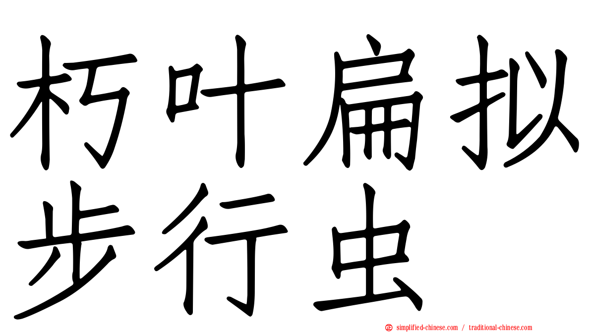 朽叶扁拟步行虫