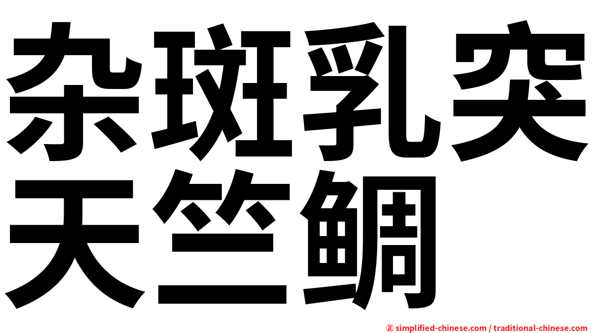 杂斑乳突天竺鲷