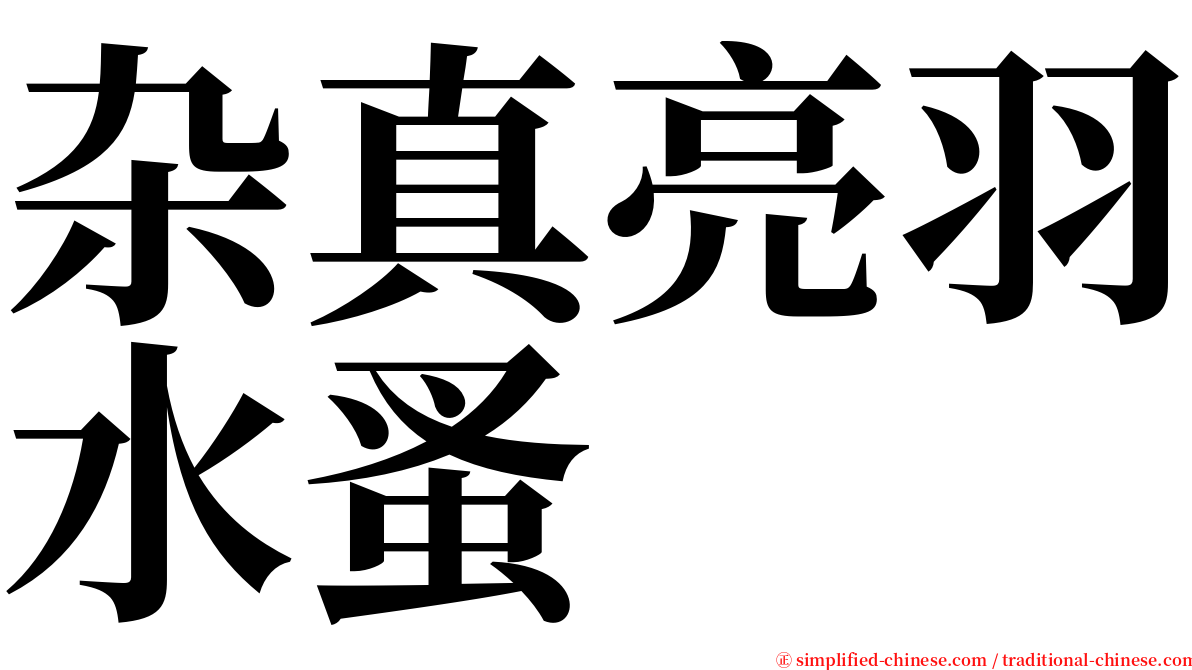 杂真亮羽水蚤 serif font