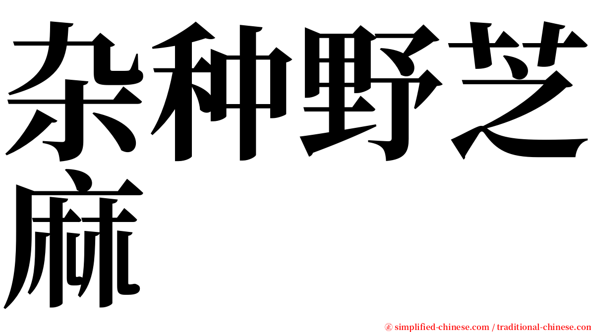 杂种野芝麻 serif font