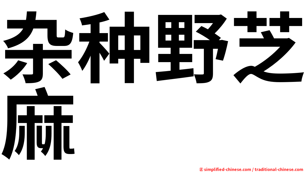 杂种野芝麻