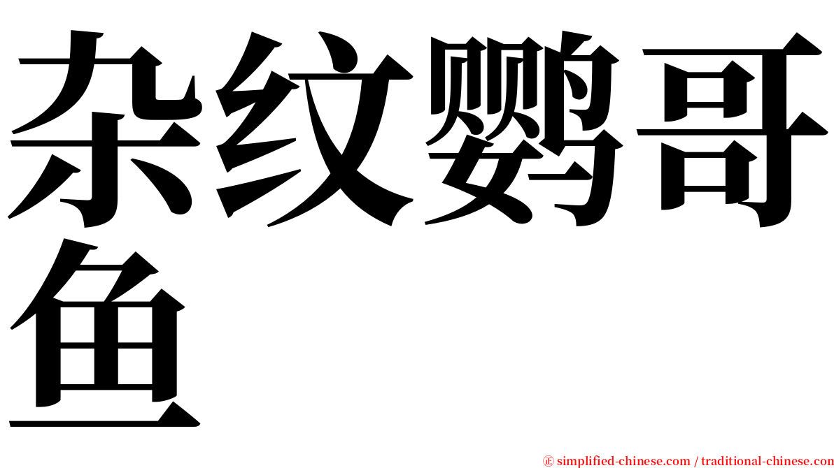 杂纹鹦哥鱼 serif font