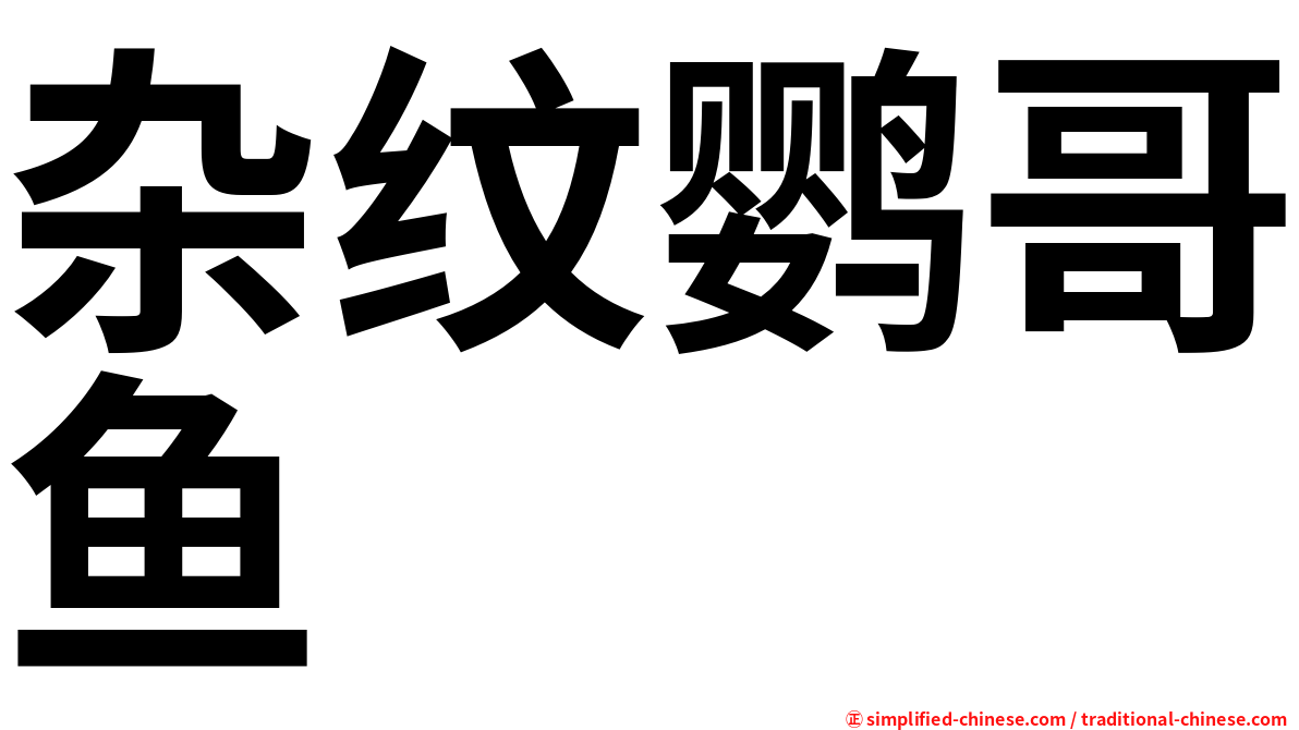 杂纹鹦哥鱼