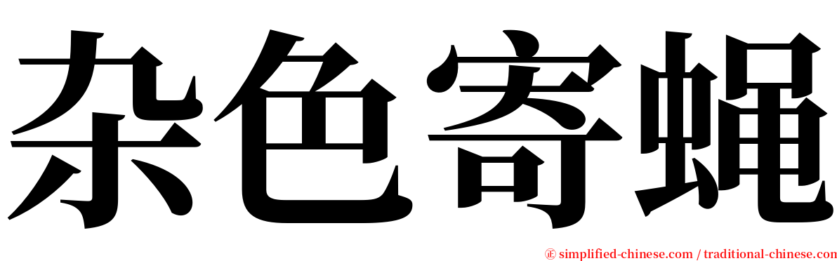 杂色寄蝇 serif font