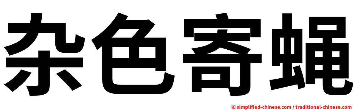 杂色寄蝇