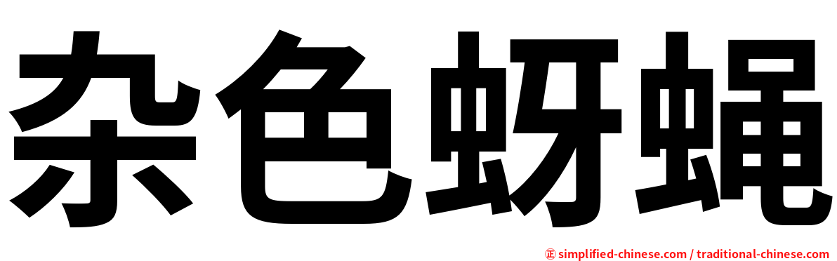 杂色蚜蝇