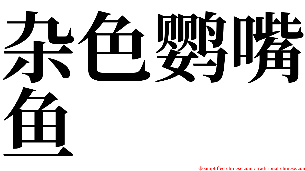 杂色鹦嘴鱼 serif font